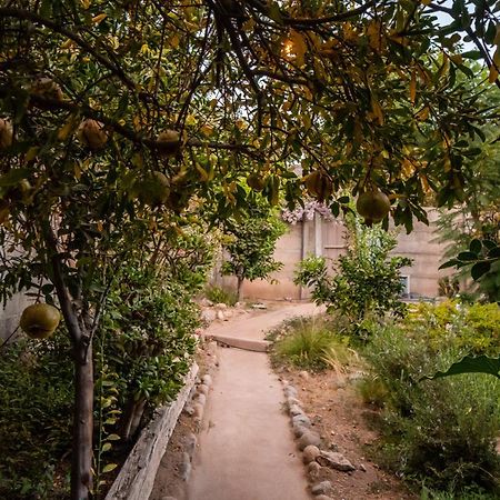 Casa Doris Villa Vicuna Ngoại thất bức ảnh