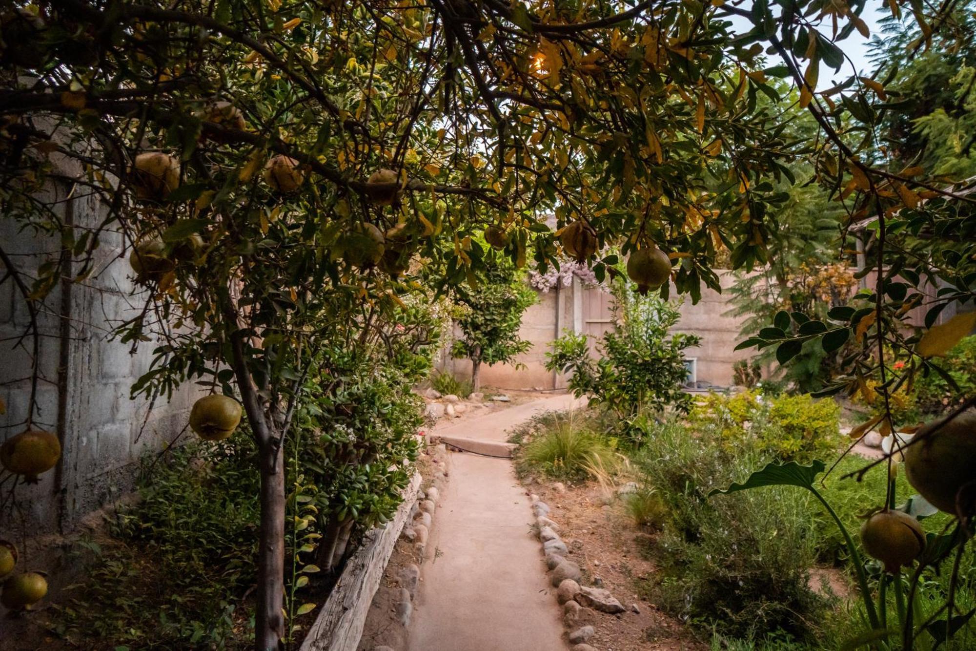 Casa Doris Villa Vicuna Ngoại thất bức ảnh